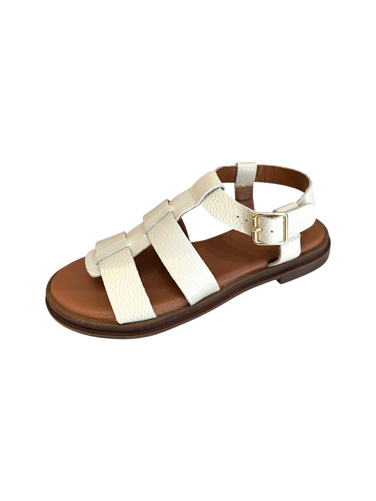 SAVY BEIGE (36)