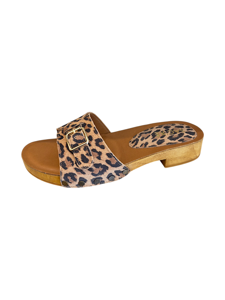 IDAM LEOPARD